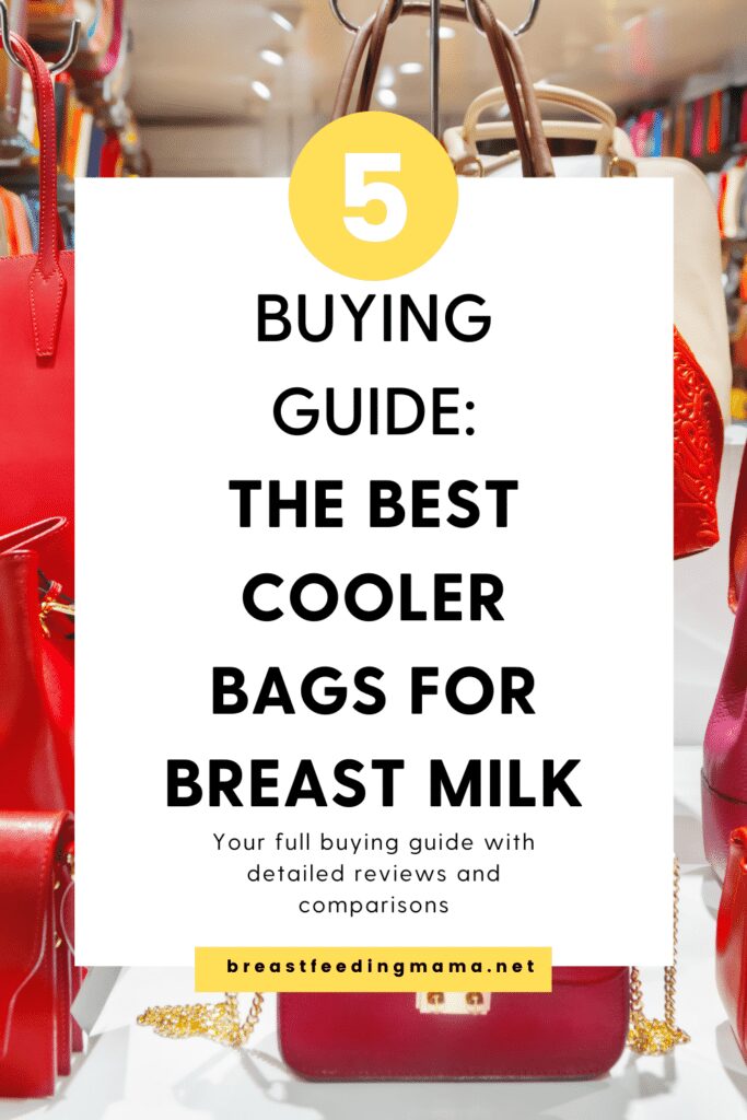 cooler for frozen breast milk