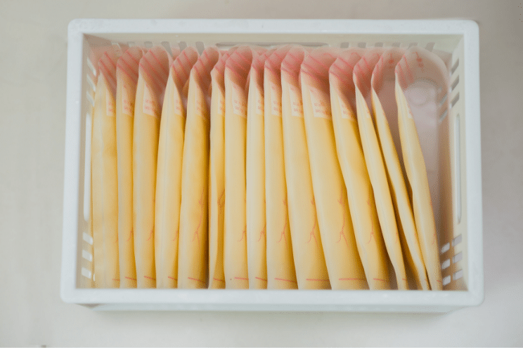 breast milk freezer storage ideas (3)